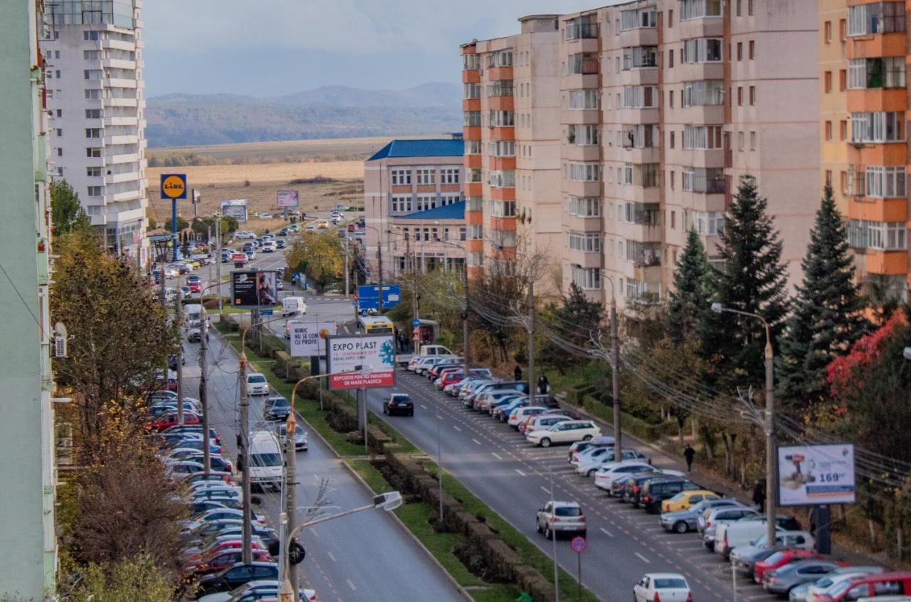 Butterfly Apartment Sibiu Exterior foto